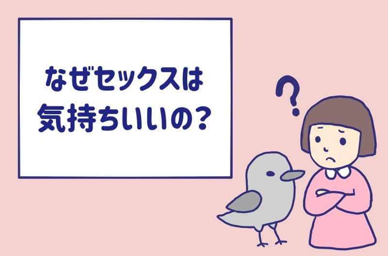 SEXってどれくらい気持ちいいですか？生でやるのとゴム付きはどっちが気持ちいいですか？ | Peing -質問箱-