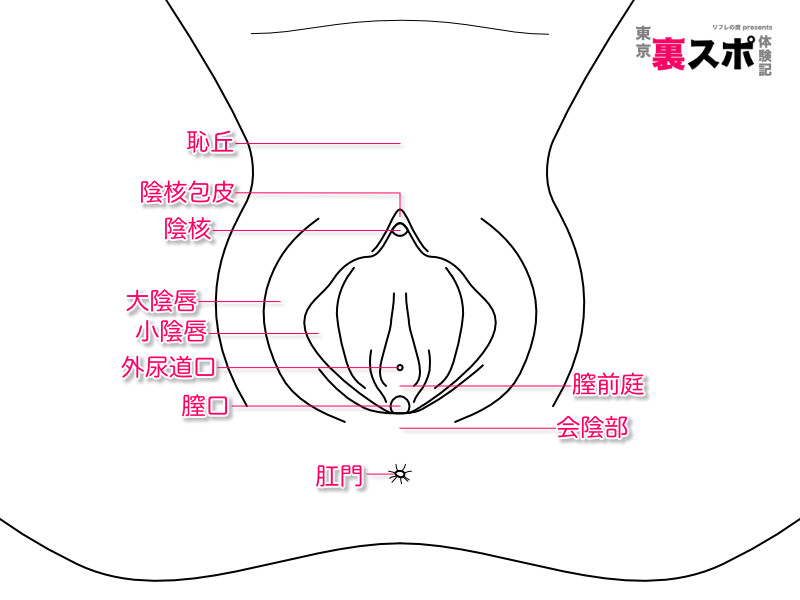 クリトリスの触り方！クリ愛撫でのいじり方 - 夜の保健室