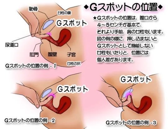 プロが教える、本当に気持ちいいＧスポットの攻め方