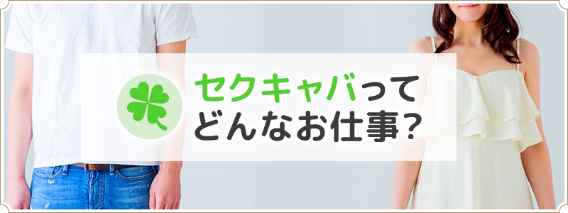 月TOKYO(ツキトウキョウ)｜新橋のセクキャバ情報【キャバセクナビ】