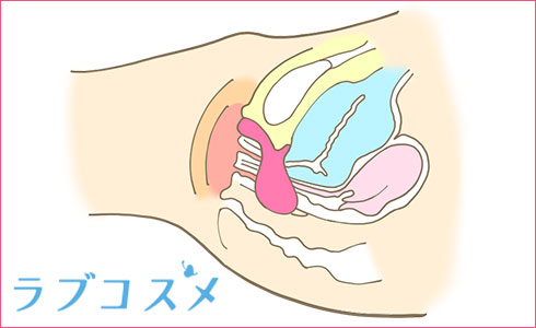 前立腺マッサージとはどんなプレイ？ 風俗エステ嬢がやり方を詳細解説 |