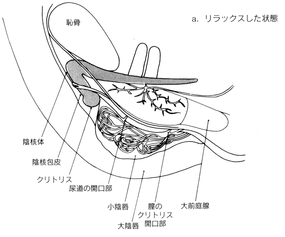 1人エッチからパートナーとのエッチまで使える電マの使い方と注意点｜Cheeek [チーク]