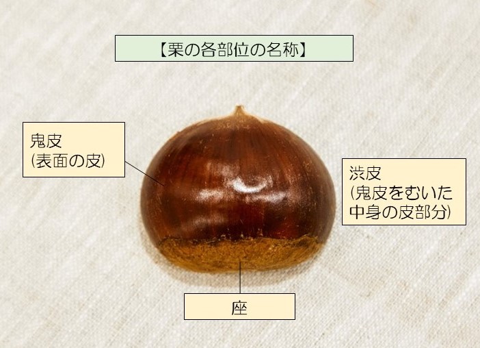 鬼皮も渋皮もスルッと剥ける！一番簡単な栗の皮剥き