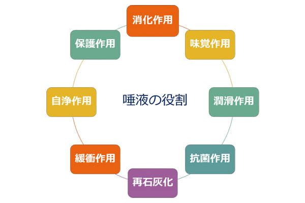 唾液の7つのの働きと増やすためにできる5つのこと | ハイライフグループ