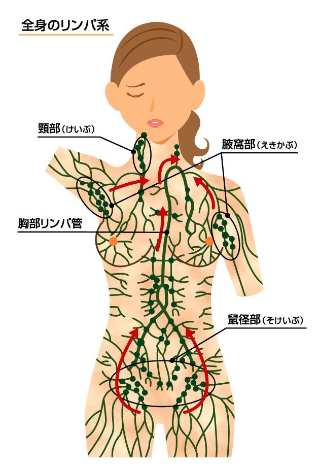 股関節の前側の痛み、鼠径部の痛み、ボールを蹴った時に痛い、痛くて蹴れないなど鼡径部痛症候群について～北千住、草加、越谷、三郷、流山、松戸、柏でお悩みの方は～  - 北千住駅近。平日22時まで、土曜祝日も19時まで診療。『他とは違う！』そんなお声をよくいただき