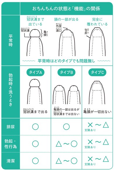 包茎（ほうけい）について知ろう！【医師監修】 | セイシル