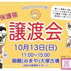 ☆３月香川出張不妊手術 香川スぺイクリニックにて一斉不妊手術実施。猫４７頭・犬１頭。 | 犬猫救済の輪