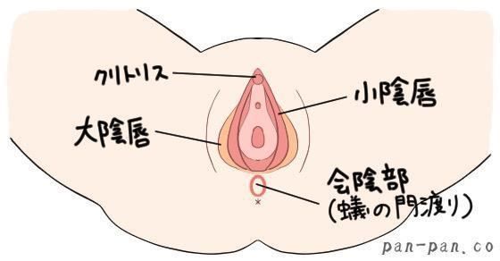 クンニリングスのやり方！上級クンニテク - 夜の保健室