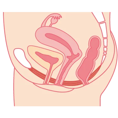 膣トレとは？ 方法・効果 | 寝たまま・立ちながら・座って・スクワットで・グッズで ｜
