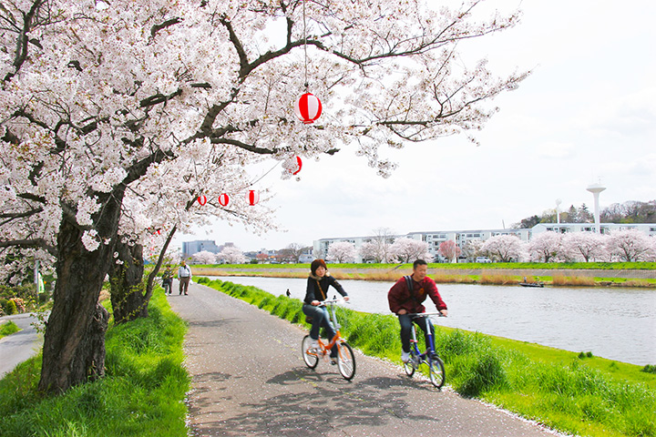 鳥ひろ、他／土浦市桜町2丁目 - ぼくの近代建築コレクション