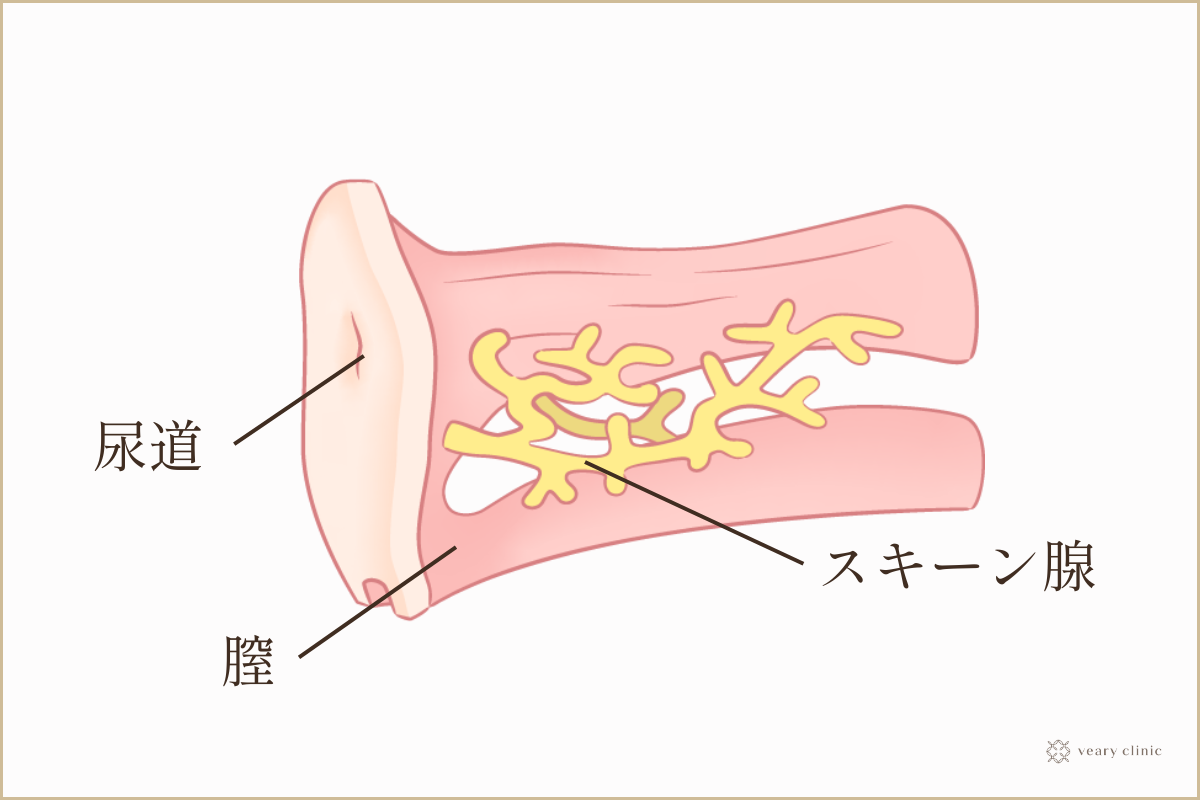 セックスQ&A】「イク」とは？性交痛の原因は…？「本当に気持ちのいいセックス」を描きたいマンガ家・瀬文まりさんが二宮典子医師に質問！ |  yoi（ヨイ） -