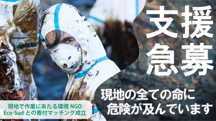 沖玲萌（立教大学）「夢は世界を旅するリポーター！グローバル経験豊富なフレッシュ美女」 | 美学生図鑑