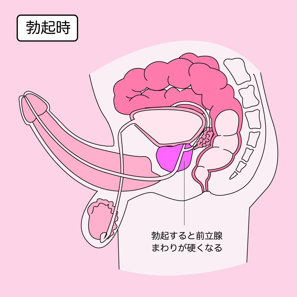 ドS嬢の直伝！イケるアナニーのやり方とコツを紹介！【初心者向け】 - エムオグラシ