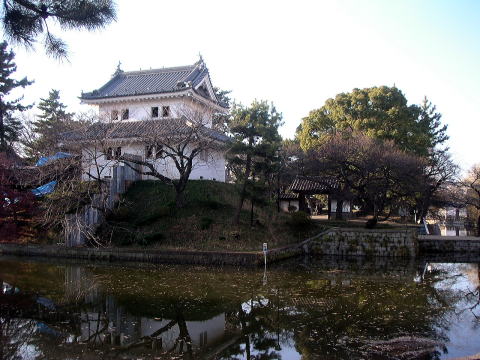 土浦花火大会 放そ