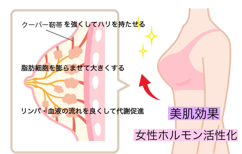 バストアップ】胸のリンパマッサージ方法とは？正しいケアとおすすめの補正下着を紹介