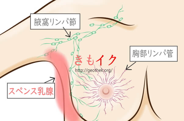 230702][蜂蜂蜂]音だけで乳首イキする身体に調教された | 女の子を音だけで乳首イキする身体に調教する鬼畜乳首責めレズ漫画