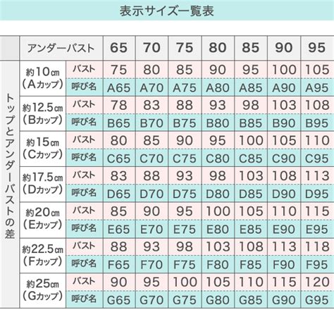 Hカップの“おっぱい先生”塚本舞「いろんな子のおっぱいを触れる」グラドルの特権明かす - モデルプレス