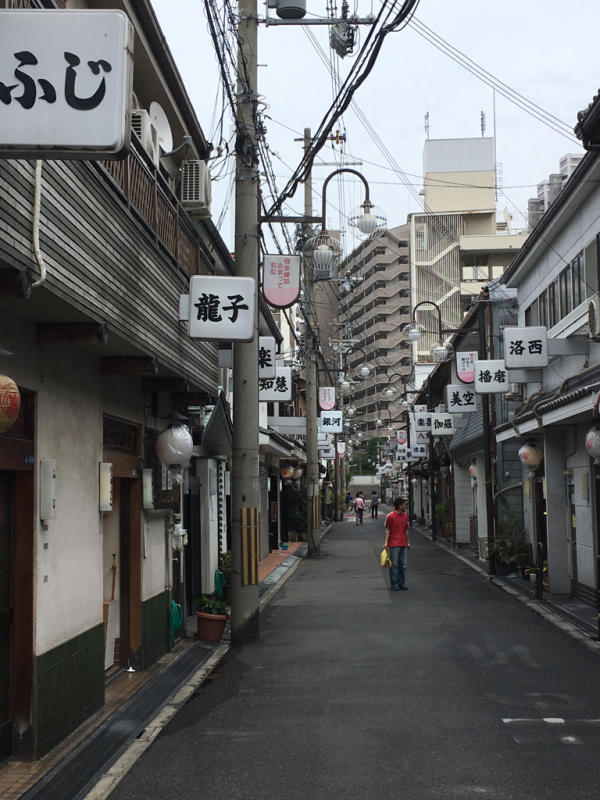 【歴史】日本の遊郭　大阪五大新地　今里新地を散歩