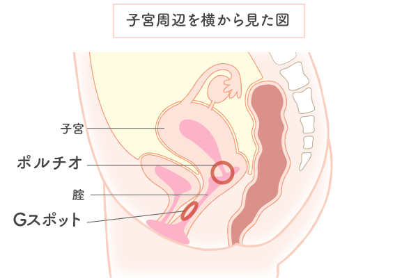 中イキができない仕方が分からないあなたが気持ち良くなれる方法｜Cheeek [チーク]