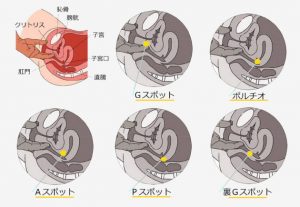 Amazon.co.jp: 【メーカー特典あり】全身性感帯 のサキュバスを拾いました。貧乏非モテの僕はドジっ子サキュバスのお願いで精子が無くなるまで何度も中出しSEXし続けた。魔力を取り戻す唯一の方法は膣内射精…！？ 