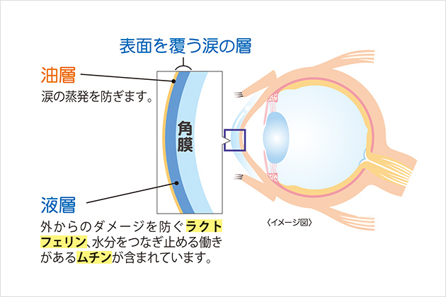 案） 器具・容器包装評価書 フタル酸ジブチル（DBP） ２０１４年 ４月