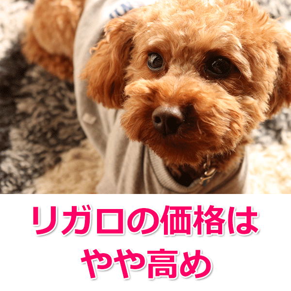 ライトハウス RIGALO ハイプロテインレシピ 子犬成犬用 ラムをレビュー！クチコミ・評判をもとに徹底検証