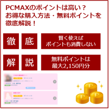 PCMAX(ピーシーマックス)の怪しい詐欺に注意！ 悪質な実例やリスク回避・被害対策も -