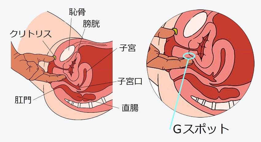 クリトリス愛撫がくすぐったいと感じる原因と対処法｜彼女にガッカリされる前に知っておくべ注意点とは