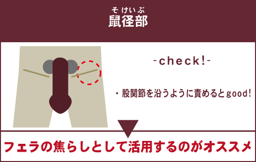 男の下半身…5つの性感帯 - こいさぷ~恋愛サプリ~