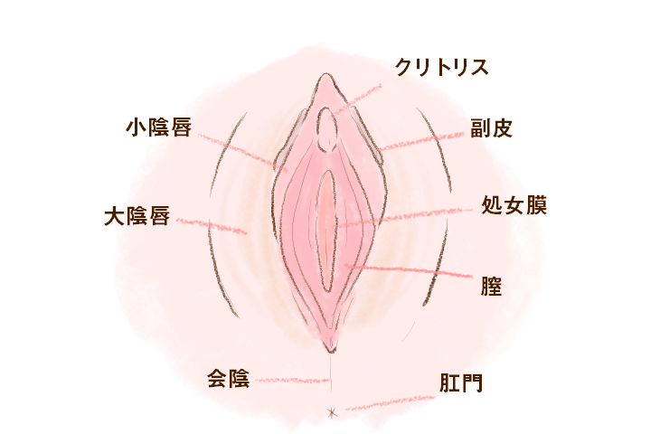 クリオナ（クリトリスオナニー）とは？ 気持ちいいやり方・グッズを紹介 |