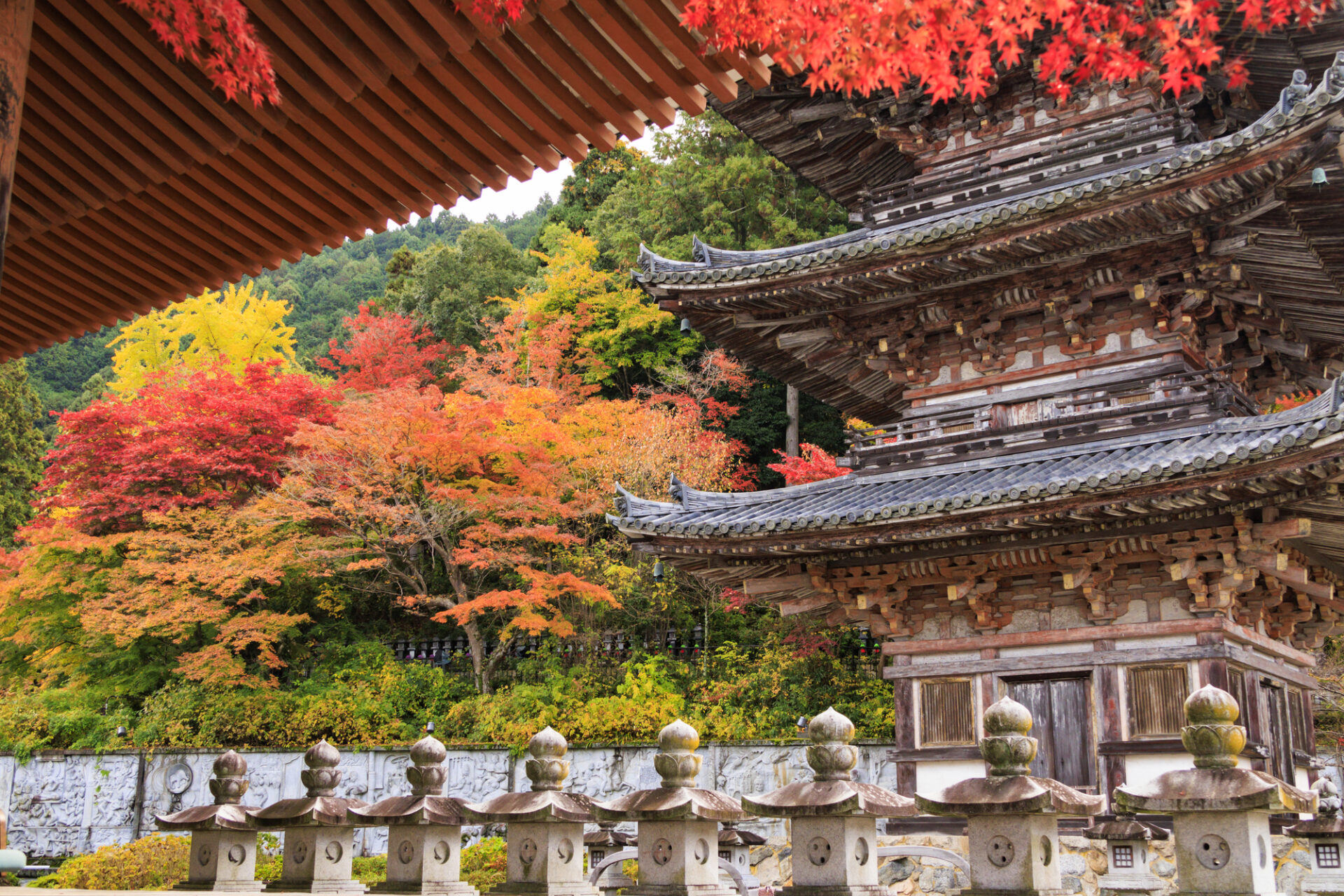 山口県の紅葉13選・穴場スポットや一度は行きたい名所の見頃を紹介!! ｜ 山口いいとこ発見！