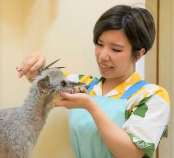 那須町の動物園でインコの占い “ドジャース優勝”｜NHK 栃木県のニュース