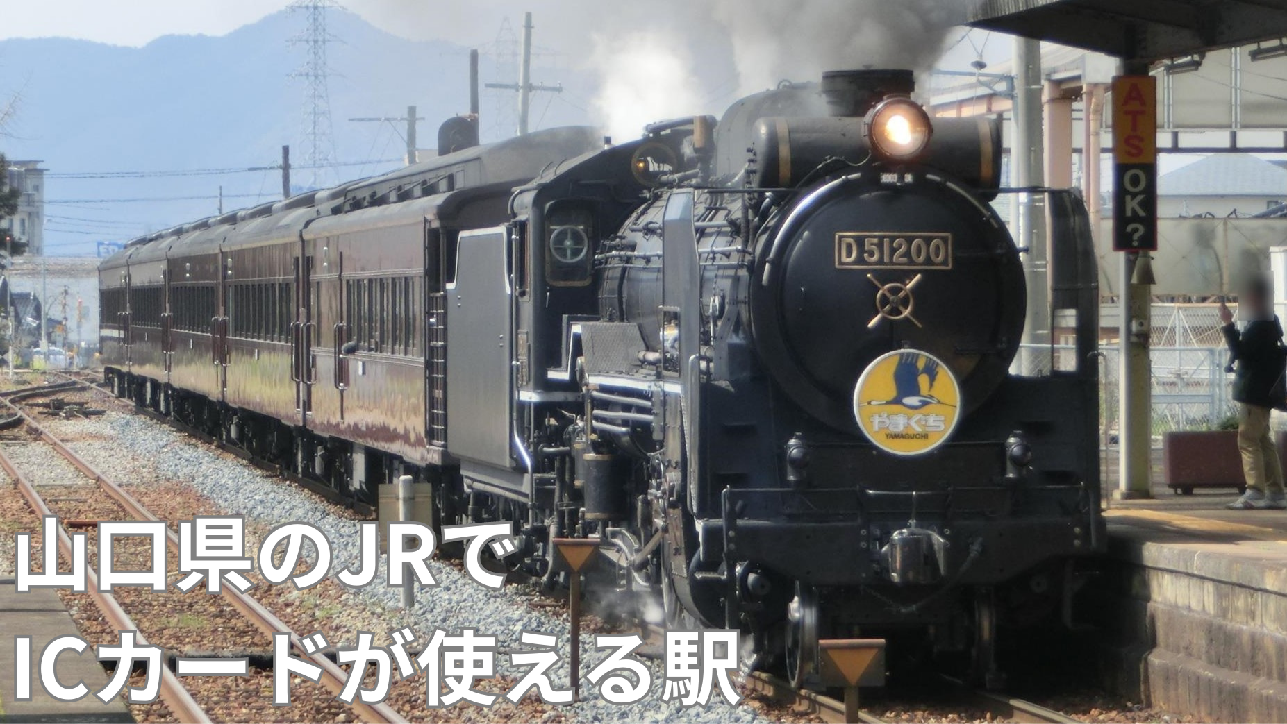 東京から山口へ行くには・飛行機、夜行バス、新幹線の所要時間や料金などを解説 ｜ 山口いいとこ発見！