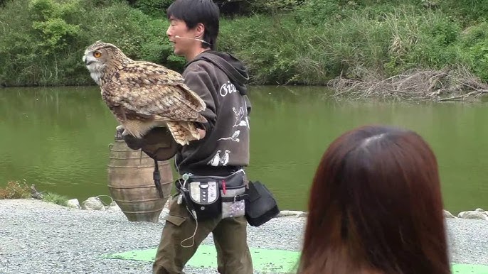 那須どうぶつ王国の動画を気鋭のクリエーターが製作 広告賞受賞 [栃木県]：朝日新聞デジタル