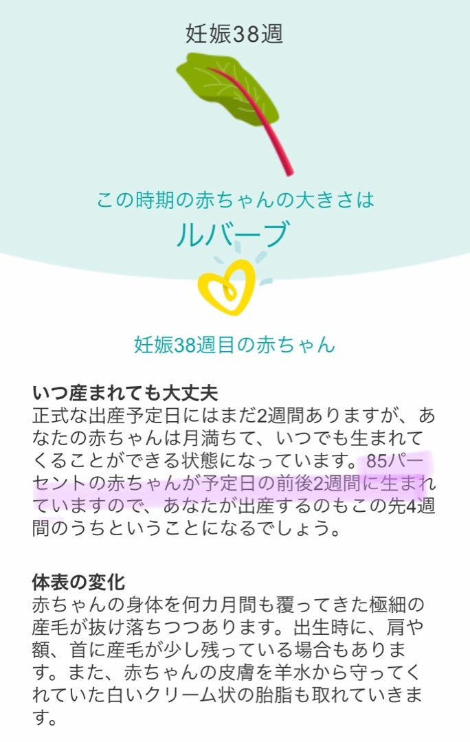 悲報】風俗嬢、素股で妊娠する・・・ : 風俗まにあ