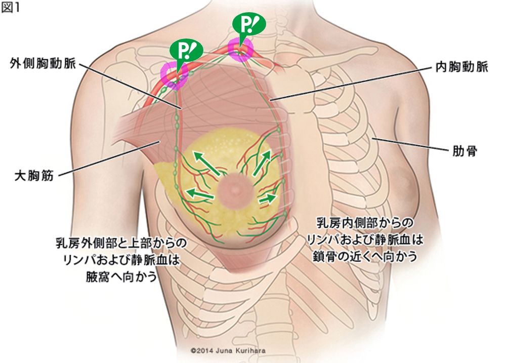 鍼と磁石】スポールバンで乳首を開発して感度を良くする方法！