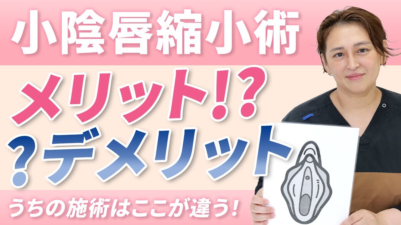 知識編 思春期のからだと生理(月経) | からだのノート