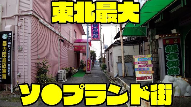 福原ソープでnn・nsできると噂のあるおすすめ風俗10店をご紹介！ - 風俗本番指南書