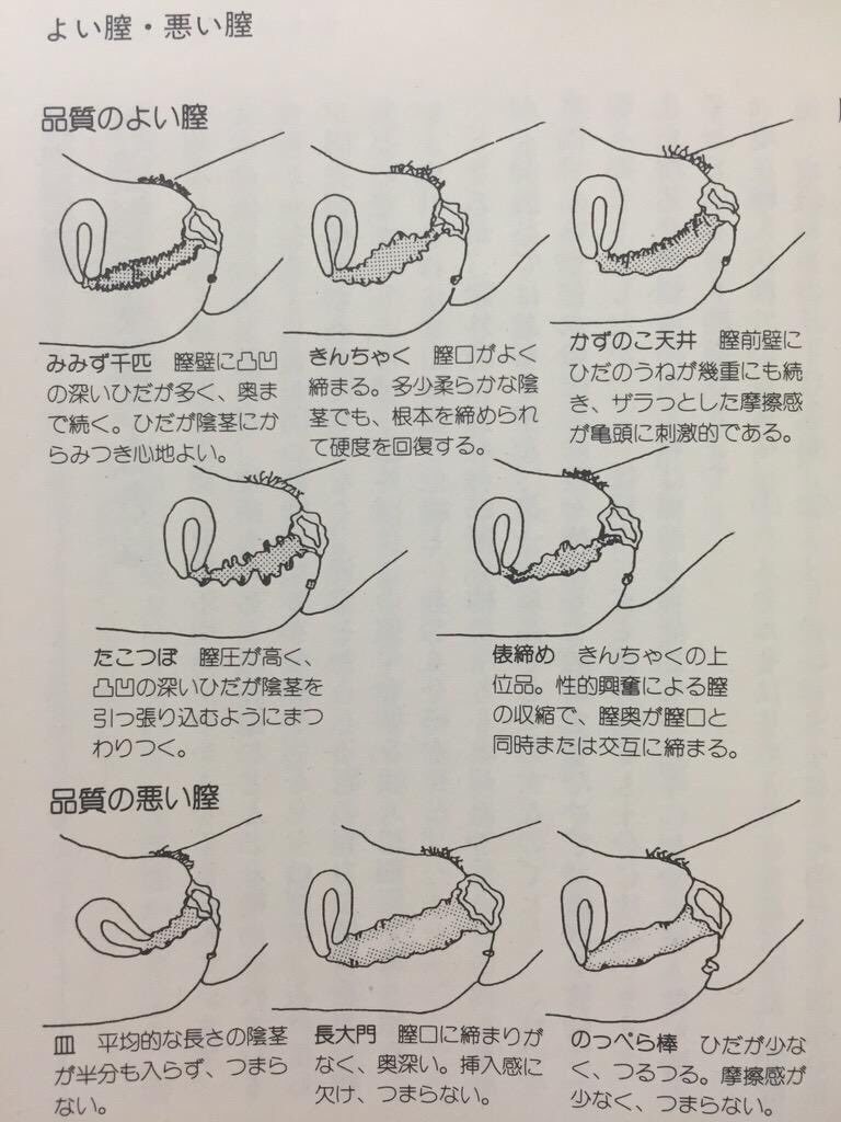 🟥入荷🟥 【正岡子規スケッチ帖 (岩波文庫)】復本一郎 (編集)