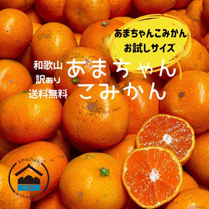 鶏白湯らーめん ちきんういんぐ│和歌山市 人気の鶏白湯らーめん＆ホルモンちゃんこテイクアウト