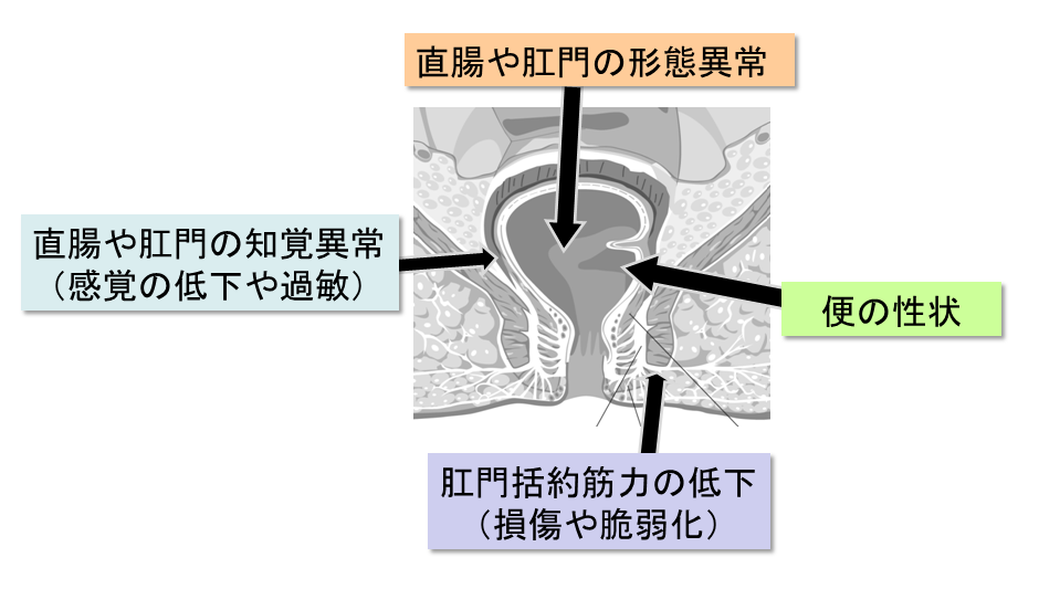 彼氏がおならをする…」彼女の前でおならをした男性心理＆最適な対応方法を解説！ | Smartlog