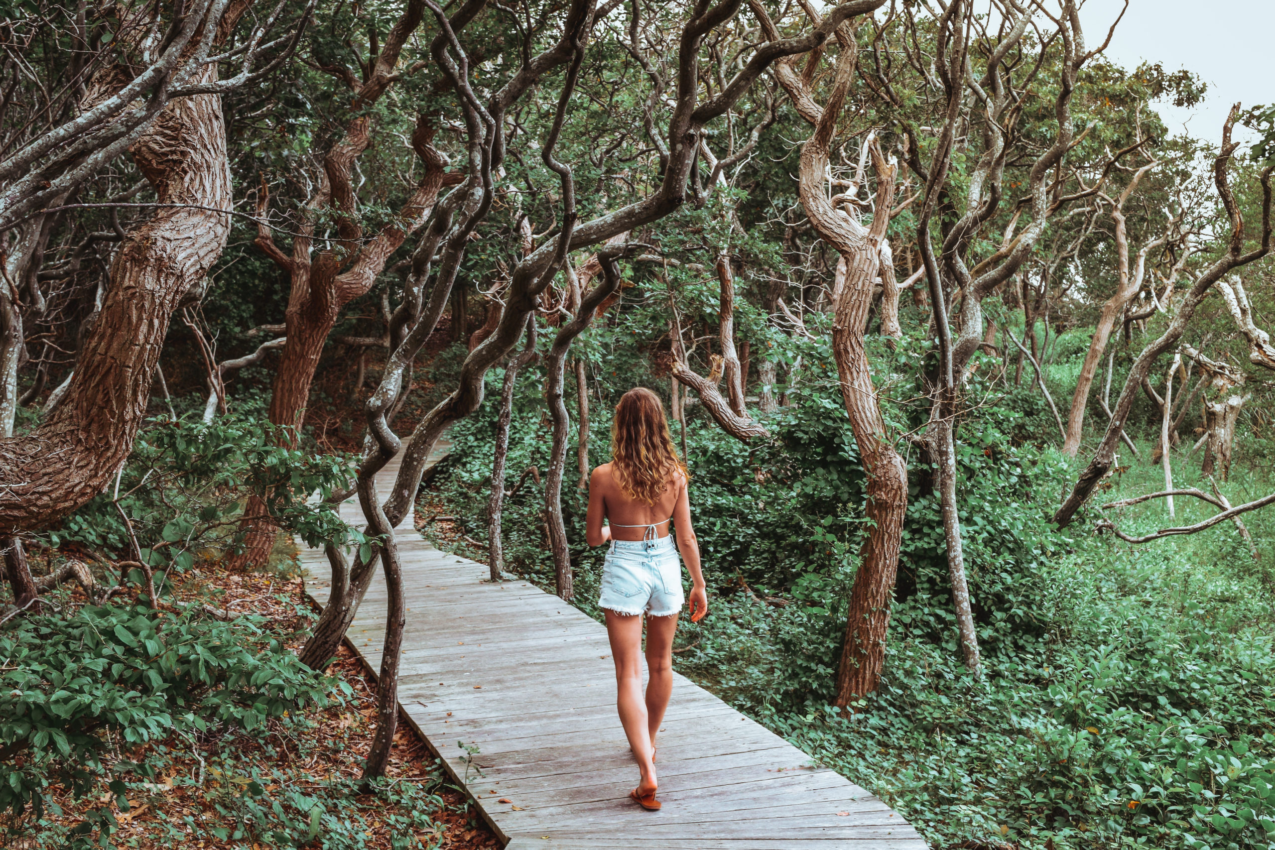 Sailors Haven: Dune Overlook