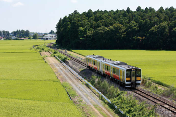 茨城県植物園】アクセス・営業時間・料金情報 - じゃらんnet