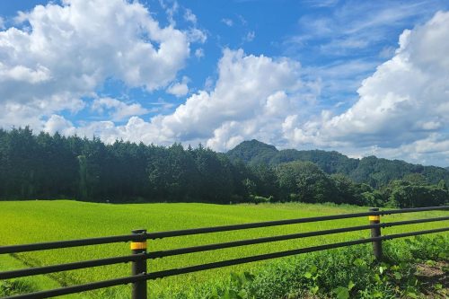 鳥取食品衛生協会｜鳥取県鳥取市｜食品衛生管理｜食品衛生責任者講習会｜食品営業賠償共済