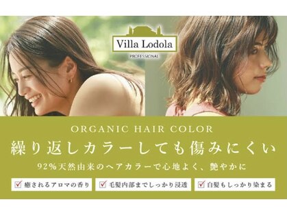 加須市】お手頃価格と分かりやすいシンプルメニューで人気の美容院「ヘアーサロンベスト  埼玉騎西店」が、騎西の「トライアル」内で10月21日にオープンしていました | 号外NET