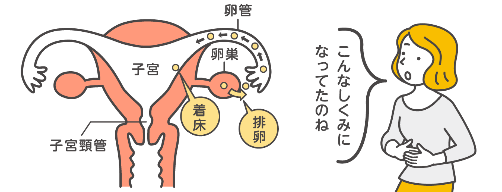 ZyMōtスパームセパレーター - 医療法人平治会ミズクリニックメイワン