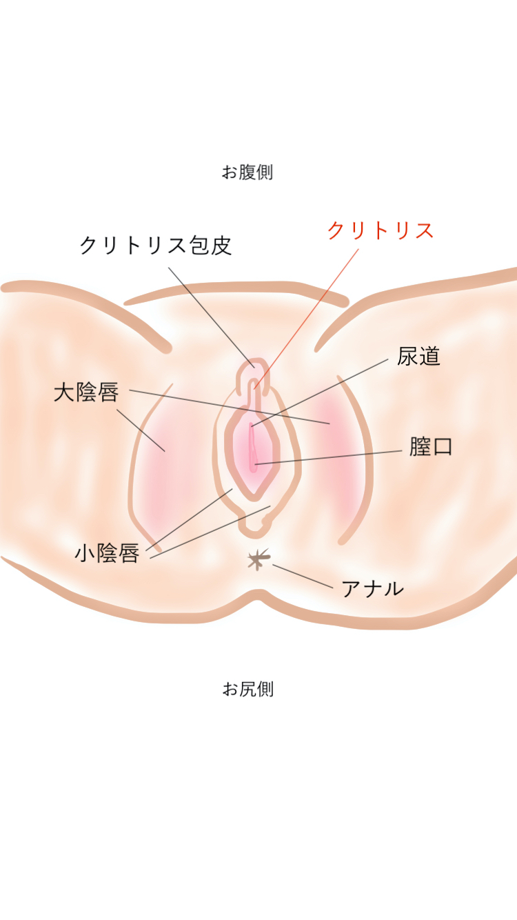 彼氏とのエッチに不満な女の子が1年振りのクンニでイキまくりました＠仙台市・六丁の目 | クンニ藤川の東京舐め犬クンニ体験談