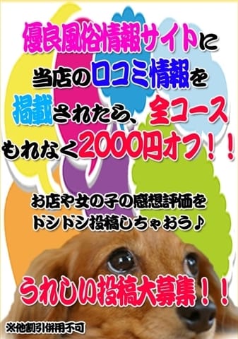 滋賀｜風俗に体入なら[体入バニラ]で体験入店・高収入バイト