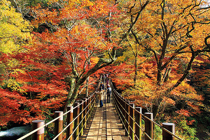 熊本の穴場の紅葉スポット（近くて人が少ない） | 株式会社ベストビジネス