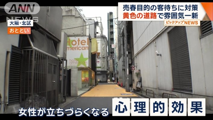 売春客待ちで逮捕８８人、警視庁 歌舞伎町、昨年比３割減：中日新聞Web